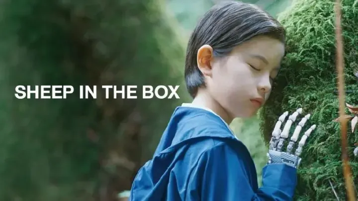 پوستر رسمی گوسفند در جعبه (Sheep in the Box) - سال 2026